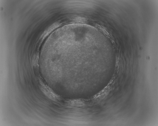 X0000080810146200701051158