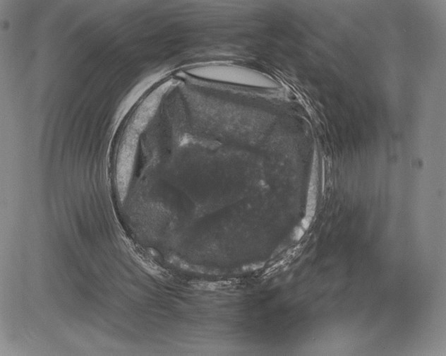 X0000080810147200701051158