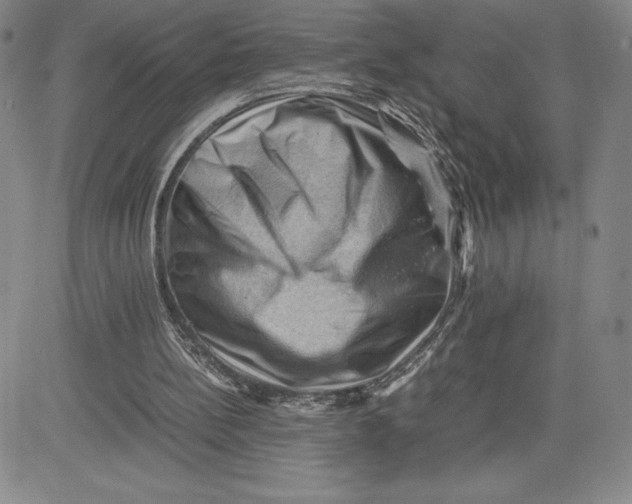 X0000080810148200701051158