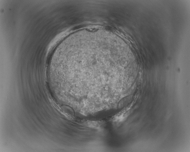 X0000080810149200701051159