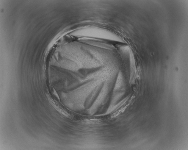 X0000080810150200701051159