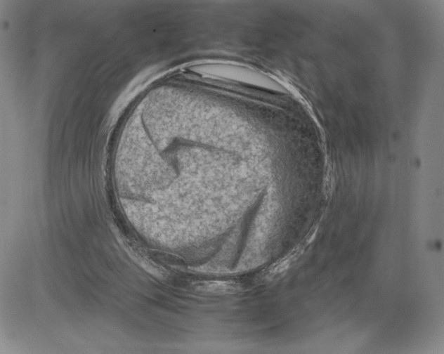 X0000080810151200701051159