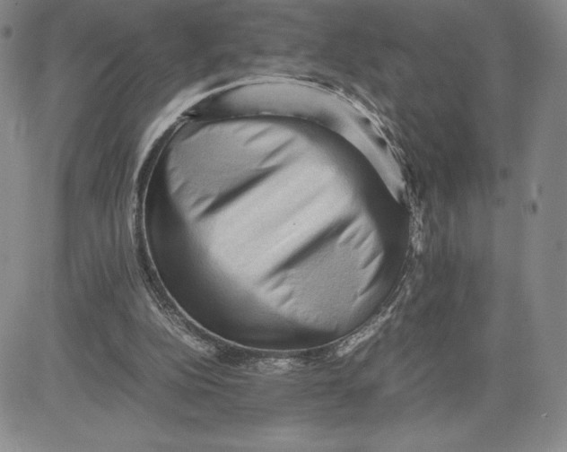 X0000080810152200701051159