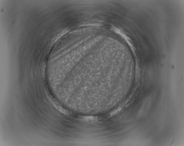 X0000080810153200701051159