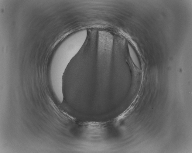 X0000080810154200701051159