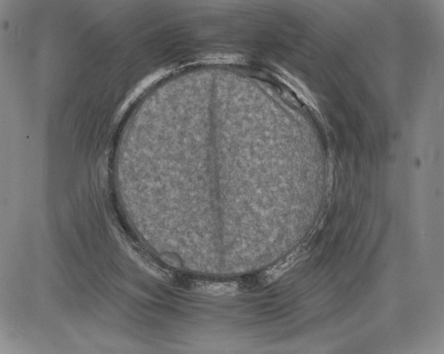 X0000080810155200701051159