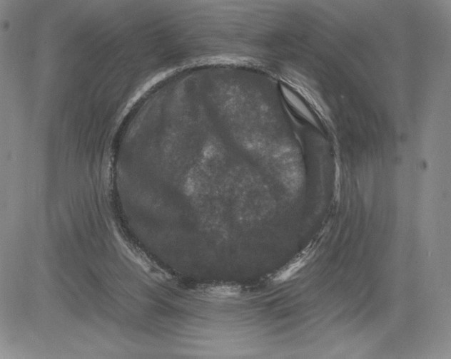 X0000080810156200701051159