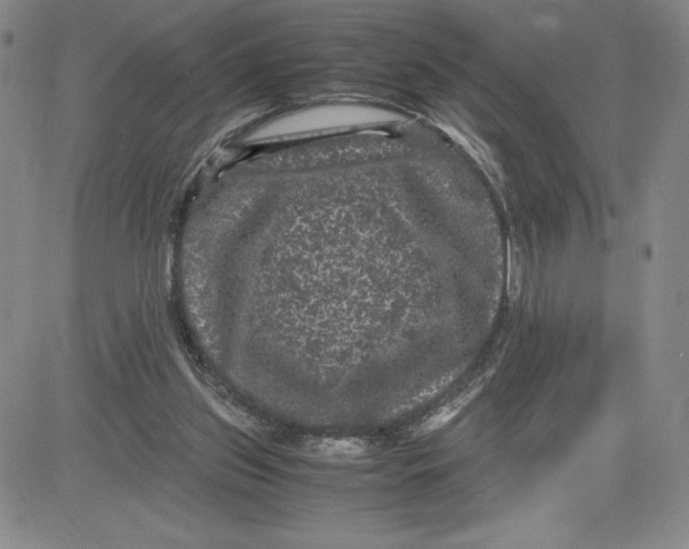 X0000080810157200701051159