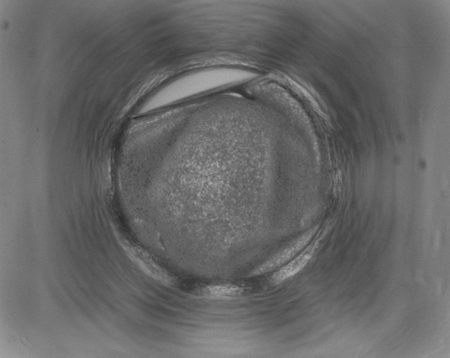 X0000080810158200701051159