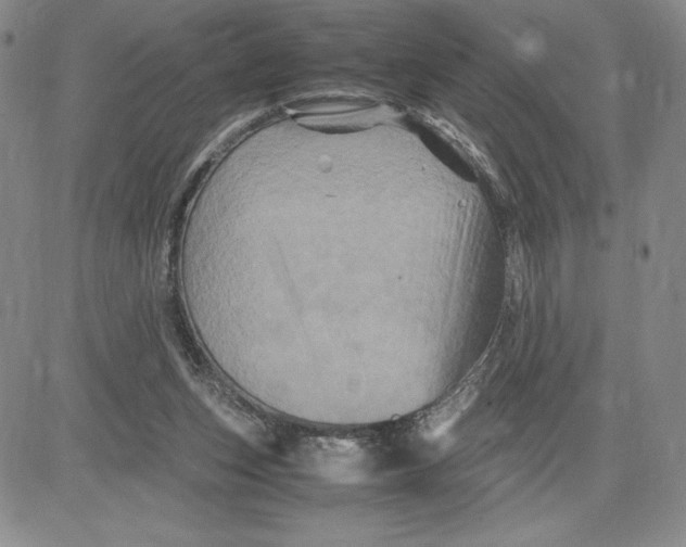 X0000080810159200701051159