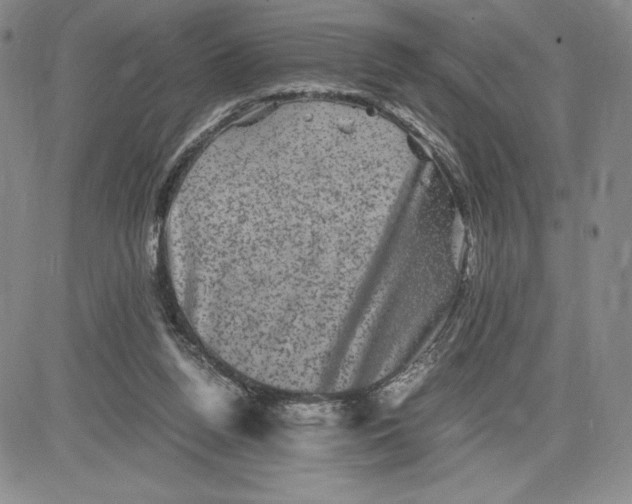 X0000080810160200701051159