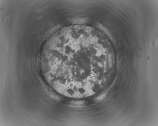 X0000080810161200701051159