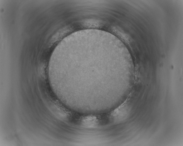 X0000080810162200701051159