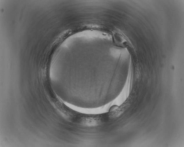 X0000080810163200701051159