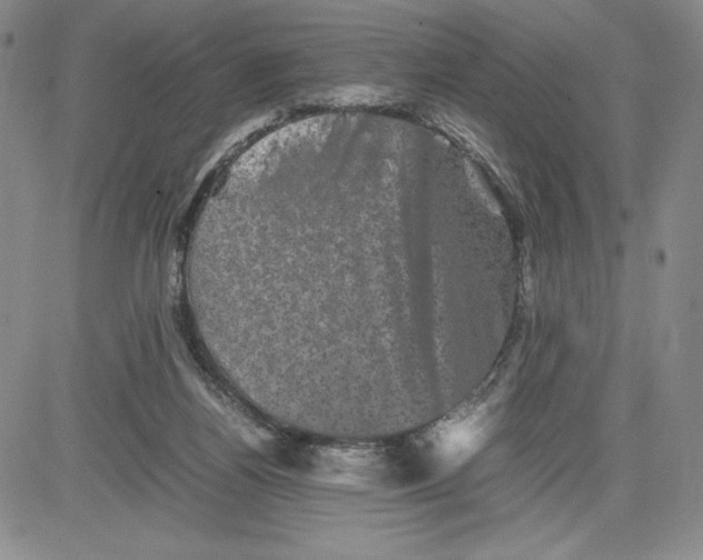 X0000080810164200701051159