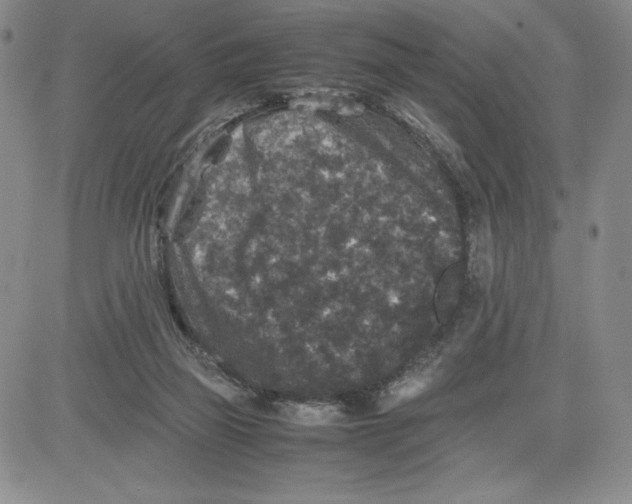 X0000080810165200701051159