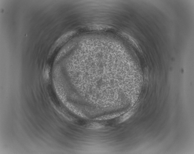 X0000080810166200701051159