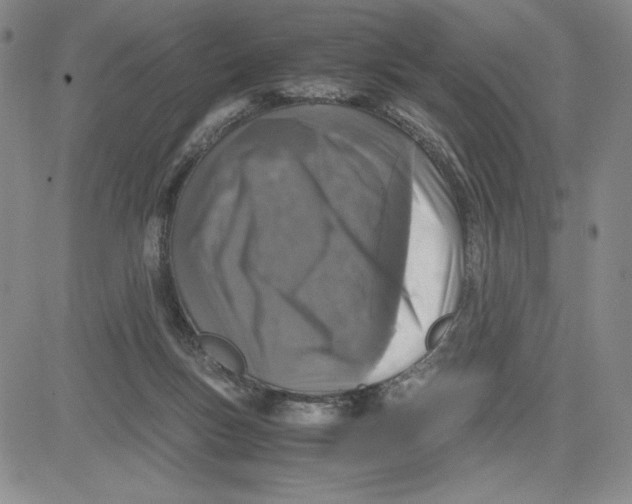 X0000080810167200701051159