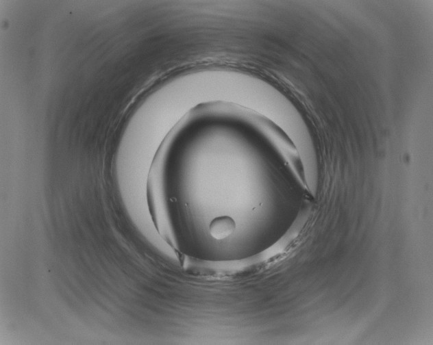 X0000080810168200701051159