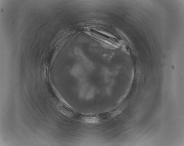 X0000080810169200701051159