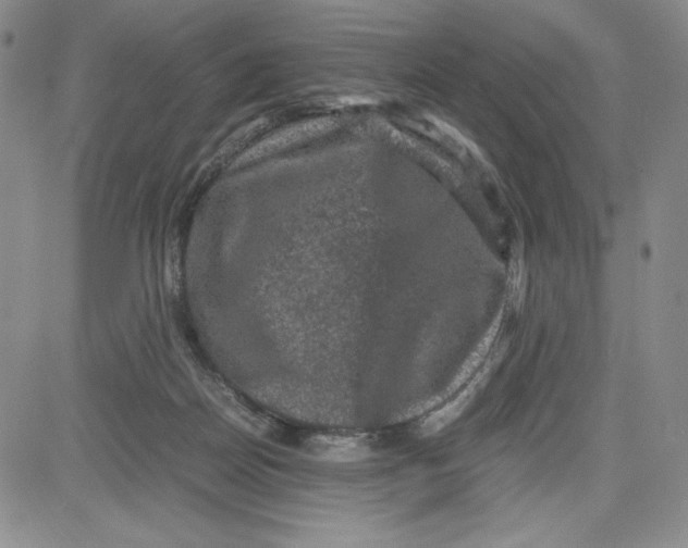 X0000080810170200701051159