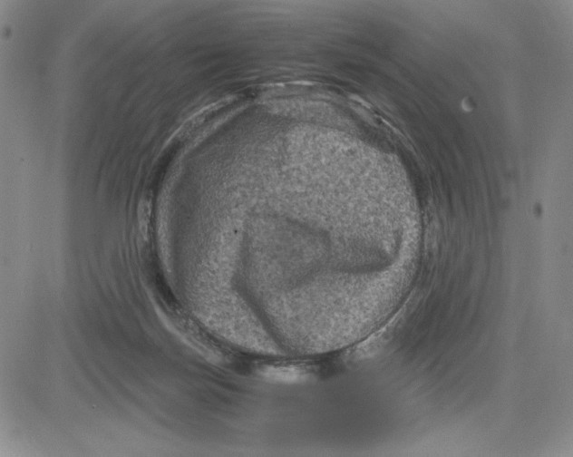 X0000080810171200701051159