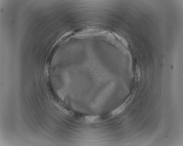 X0000080810172200701051159