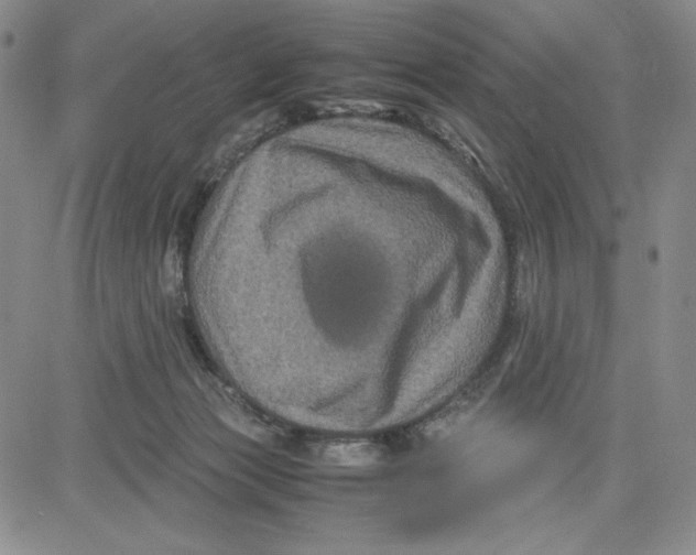 X0000080810173200701051159