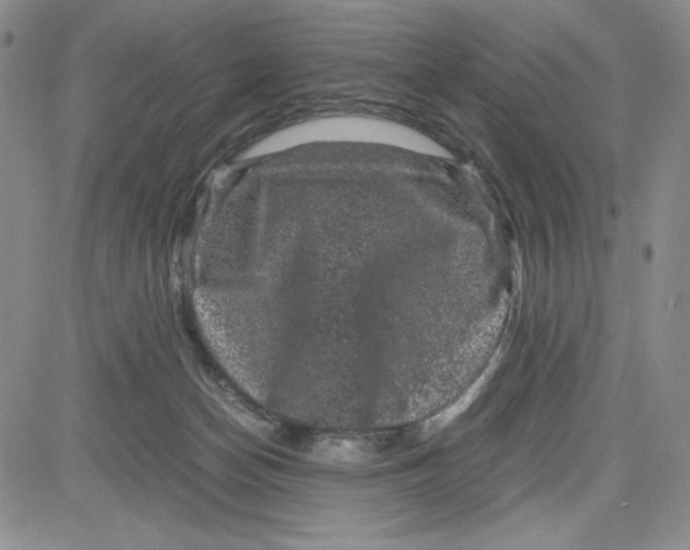 X0000080810174200701051159