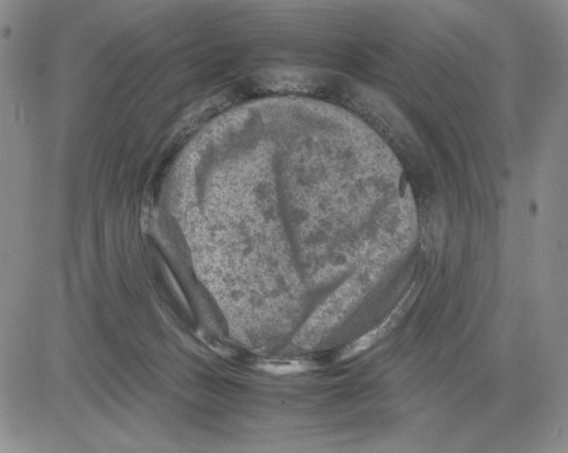 X0000080810175200701051159