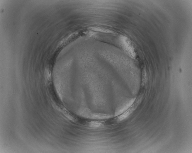 X0000080810176200701051159