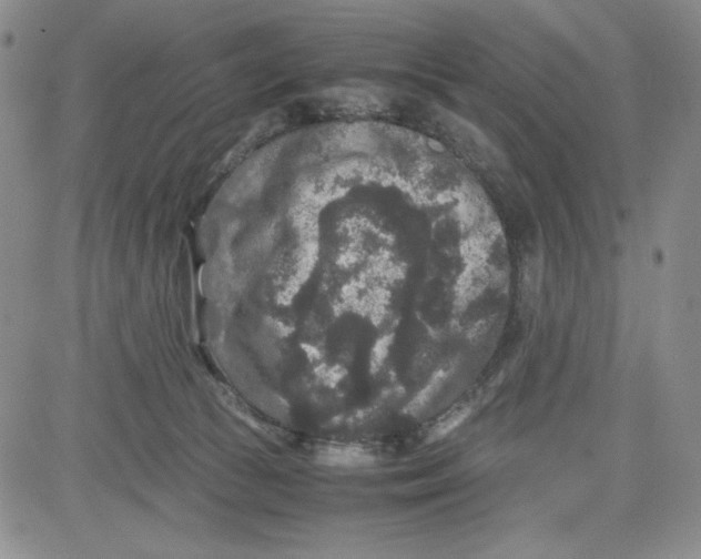 X0000080810177200701051159