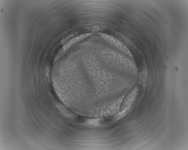 X0000080810178200701051159