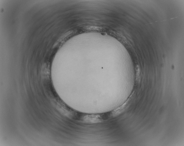 X0000080810179200701051159