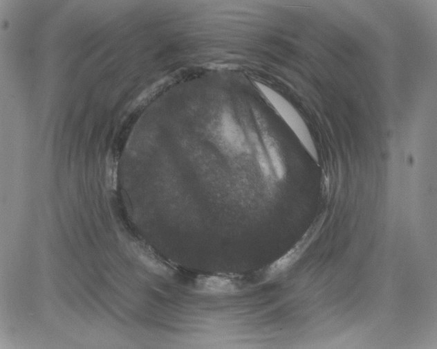 X0000080810180200701051159