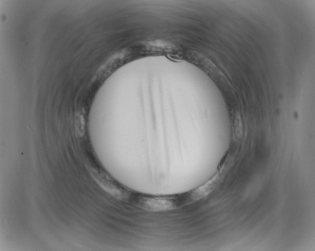 X0000080810183200701051159