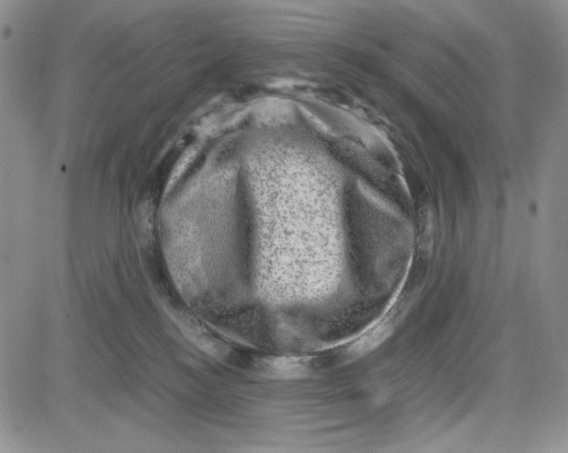 X0000080810184200701051159