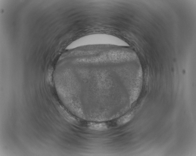 X0000080810185200701051159