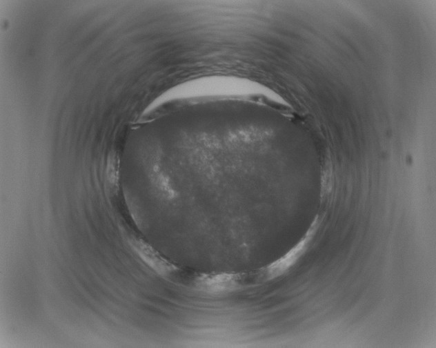 X0000080810186200701051159