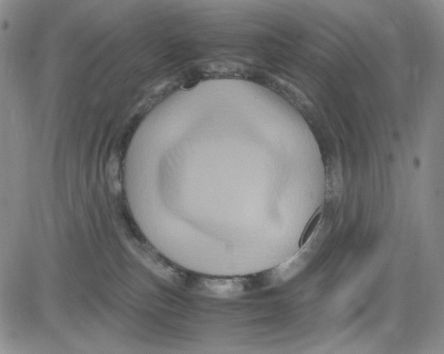 X0000080810187200701051159