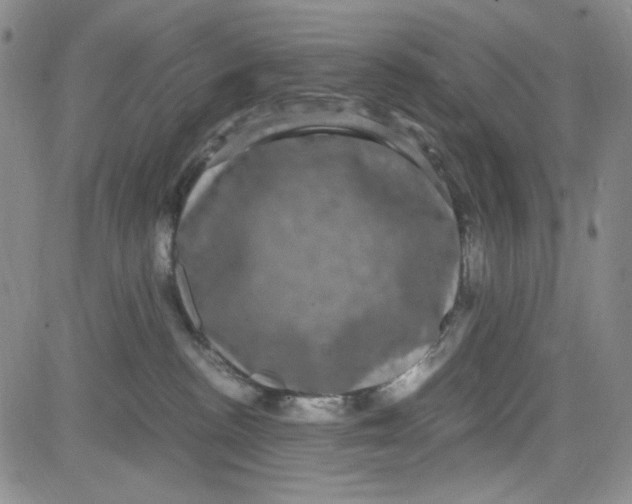 X0000080810188200701051159