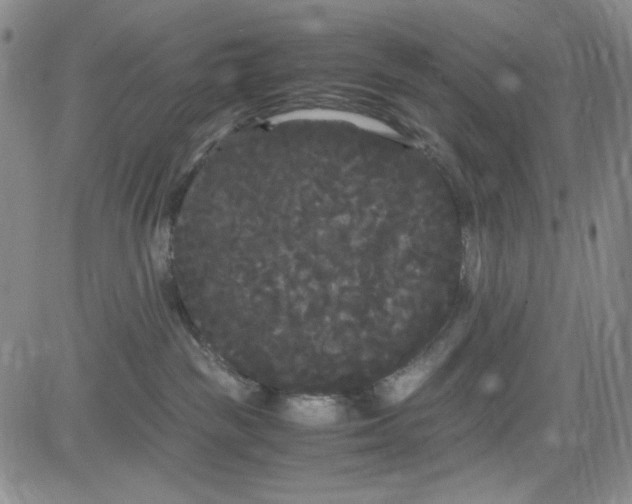 X0000080810189200701051159