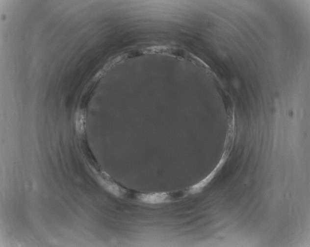 X0000080810191200701051159