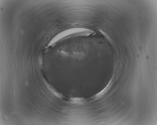 X0000080810192200701051159