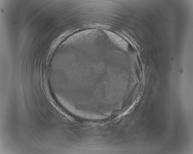 X0000080810193200701051158