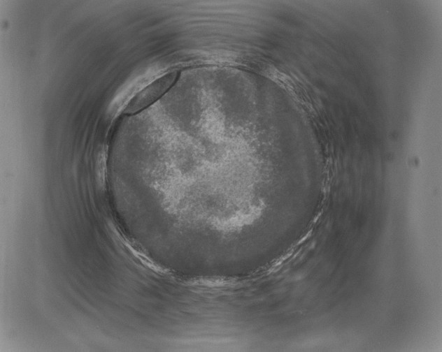 X0000080810194200701051158