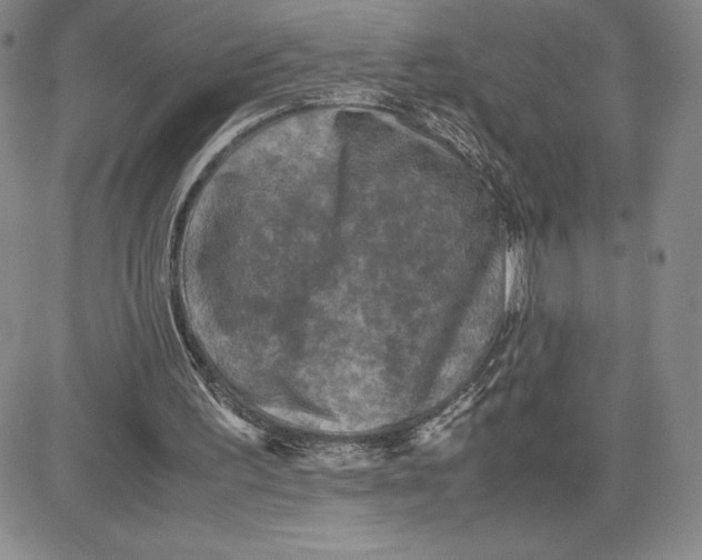 X0000080810195200701051158