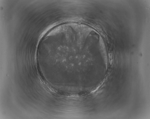 X0000080810196200701051158