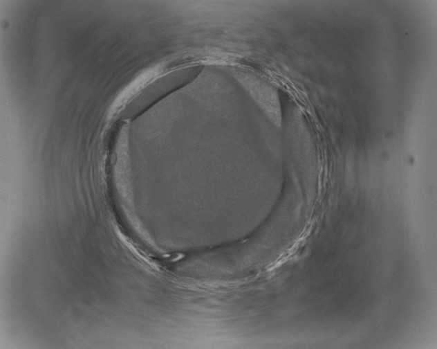 X0000080810197200701051158