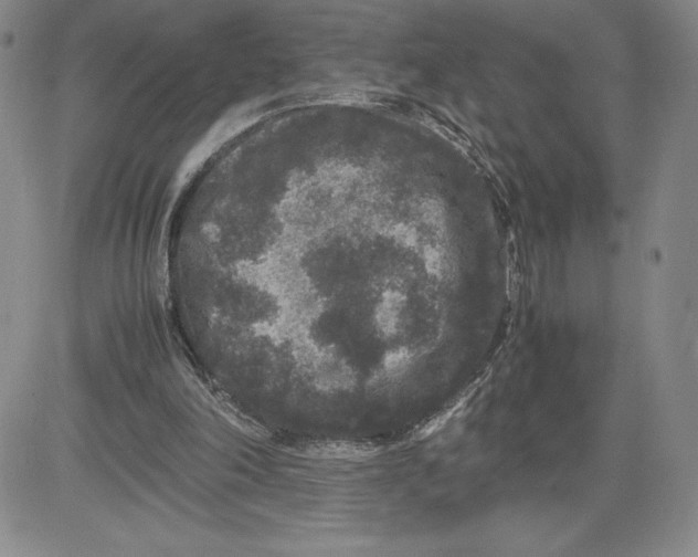 X0000080810198200701051158